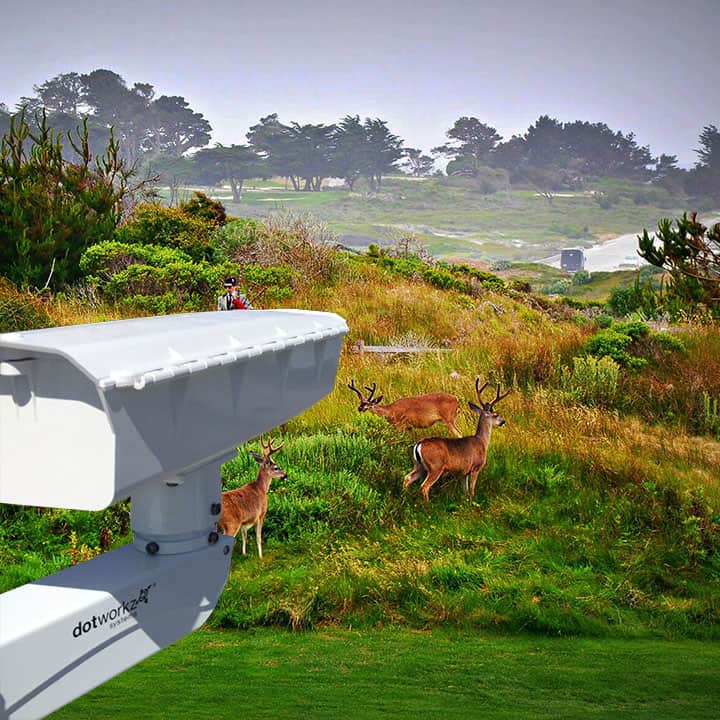 new long range humid weather