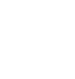 Icon Snow Flake